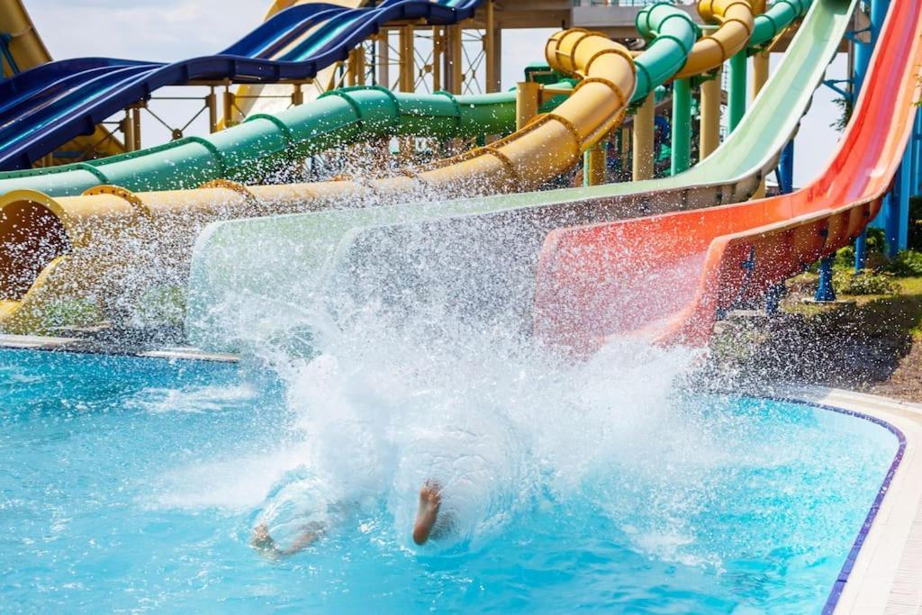 Cavalo Preto Premium Stays Куартейра Екстериор снимка